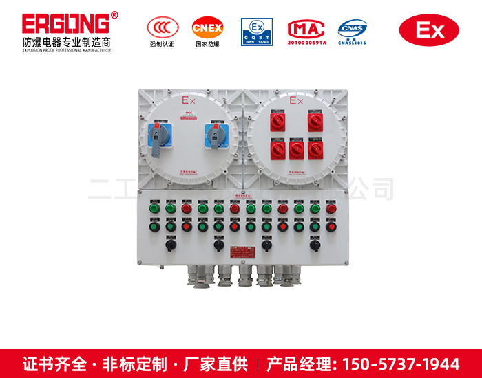 復合型防爆配電箱