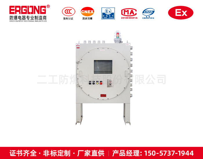 碳鋼IIC級控制箱+防爆鼠標面板操作簡單方便